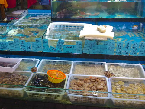 大黄龙海鲜酒家_黄龙景区_黄龙海鲜大排挡(2)