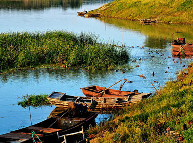泰安东平湖 感受湿地湖泊之美