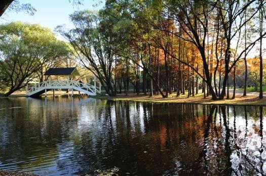 上海秋季花展全攻略:共青森林公园_新浪旅游_新浪网