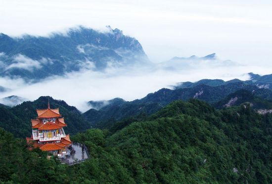 天眼看世界(442) 天眼看世界(442)