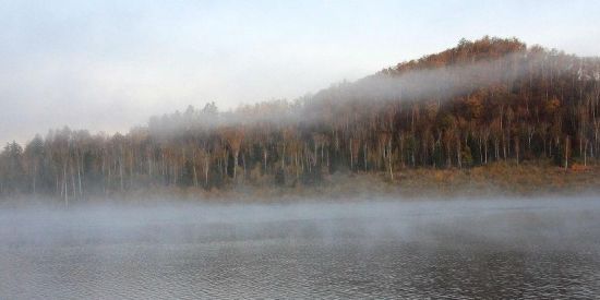 汤旺河国家公园 汤旺河国家公园