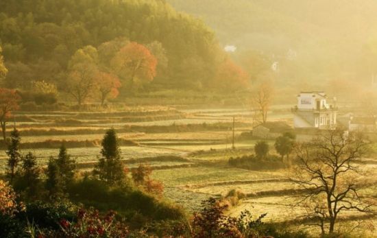 徽州深处 留住塔川最后的秋色(组图)