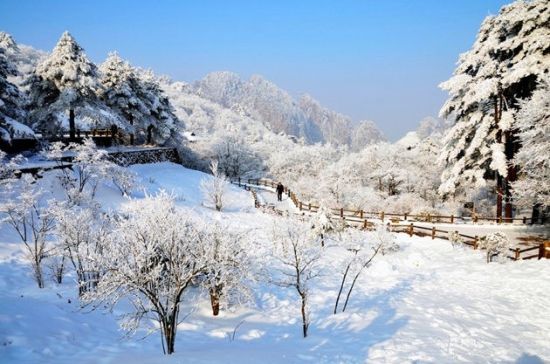 攀黄山赏雪景泡温泉 冬季黄山2日游全攻略