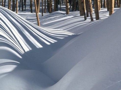 南国雪影