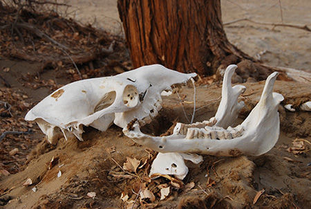 向沙漠深处进发 徒步穿越死亡之海