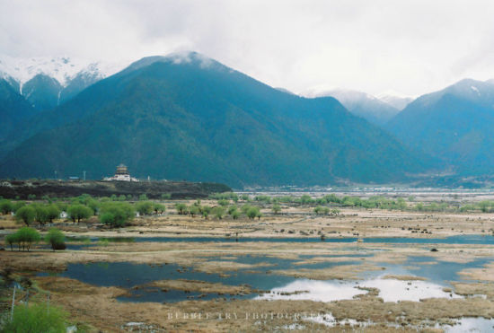 云之彼端 桃花深处秀美林芝