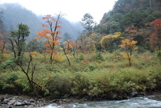 雅安芦山大川河 完美的风光缩影