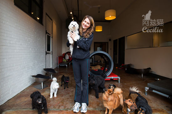 @阿兹猫:雷克斯狗酒店的故事:开狗酒店的初衷