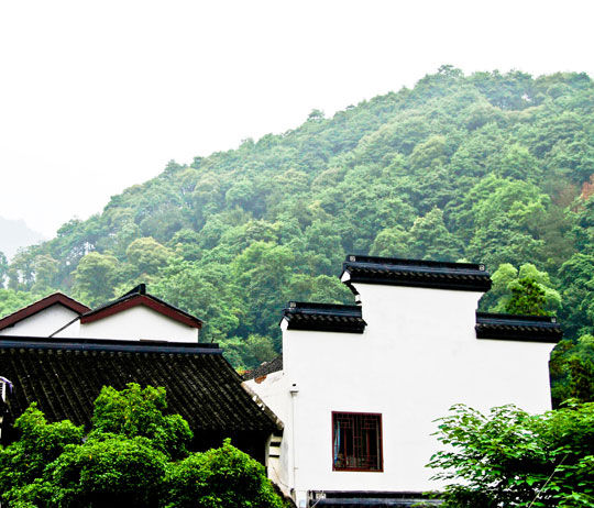 茶文化村梅家坞 梅灵古道见灵山