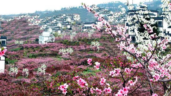 龙泉山