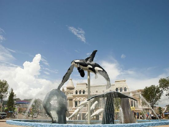 走进青岛极地海洋世界 与海洋动物亲密接触