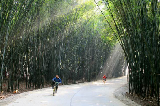 四月芬芳踏青尝鲜跟着春光采摘去：广州周边