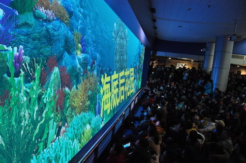 海洋世界排行_全国亲子游热度排名出炉青岛海底世界居第六位山东唯一