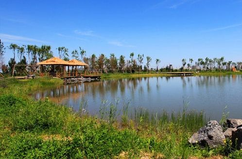 金河湾湿地植物园