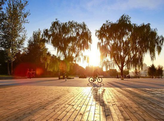 �ų����(y��ng)