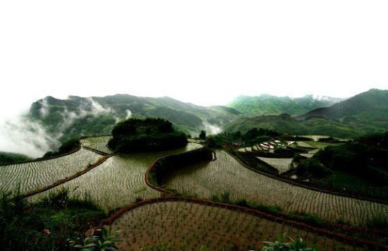 乡野里寻清凉 浙江8个人少安逸的山间避暑地(