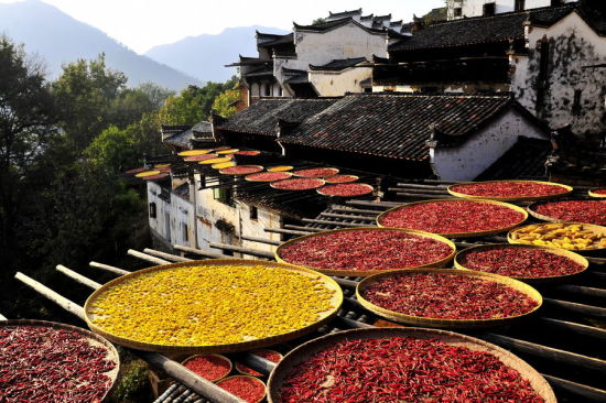梯云村落 晒秋人家 婺源之美看篁岭