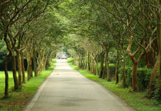 漫步中山植物园 感受南京美景_新浪旅游_新浪网