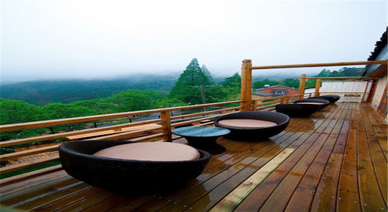 安吉竹海中的民宿 看得见的欧洲小镇风情(图)