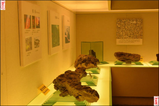 博物馆中的火山岩石