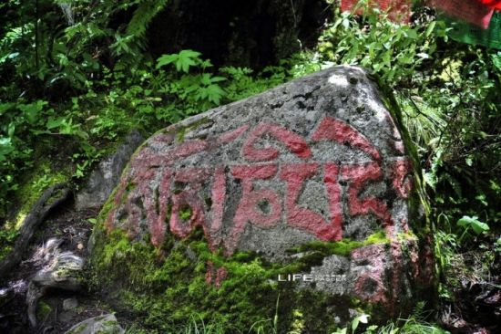 绿色的巴松措，千年的措宗寺