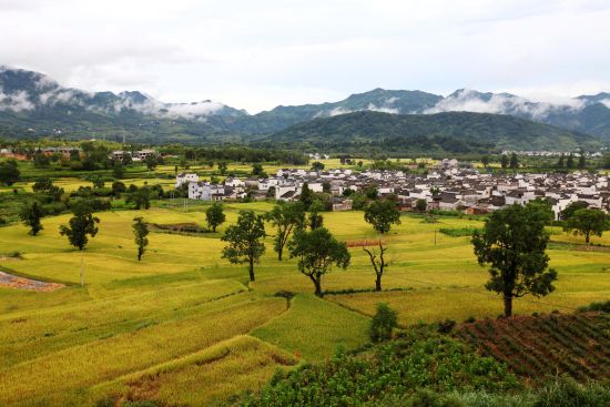 不到皖南山水田间,怎知秋色如许?