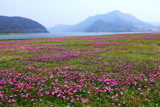 不到皖南山水田间,怎知秋色如许?