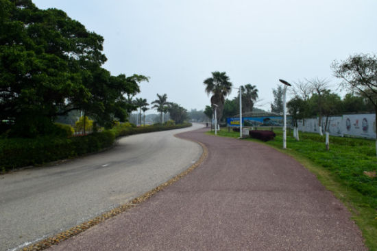 两个人的厦门之旅 遇见清新鼓浪屿