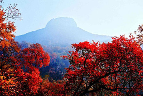 枣庄抱犊崮:一幅色彩斑斓的秋景图