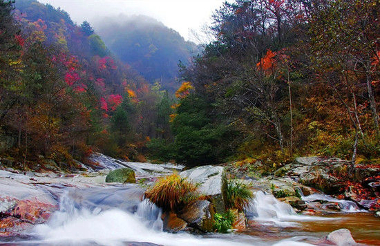 岳西婚纱照_岳西翠兰图片(3)