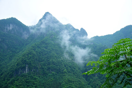 最佳洗肺地推荐之桑植八大公山