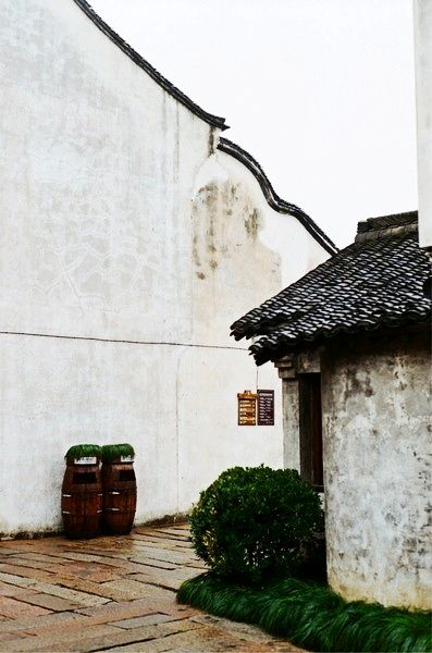 天空飘着蒙蒙细雨,钻进鼻腔的空气清透凉爽,南方的冷果然是有质感的