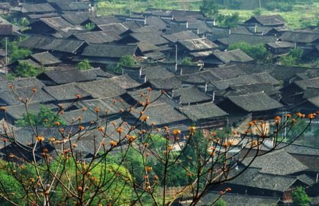 新浪旅游配图:高倚古村 新浪旅游配图:高倚古村