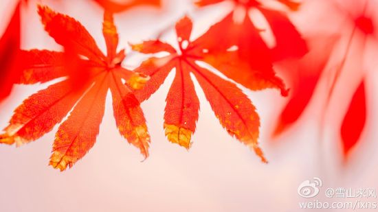 APEC假期去哪玩 山东四大旅游胜地推荐(2)