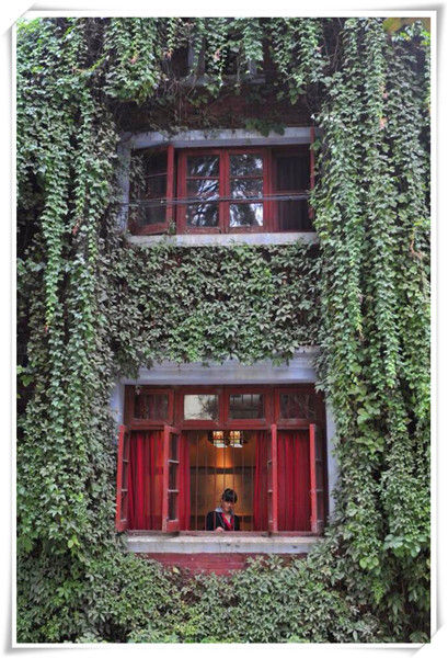 【故园食府】新派滇菜和滇西特色美食的缔造者