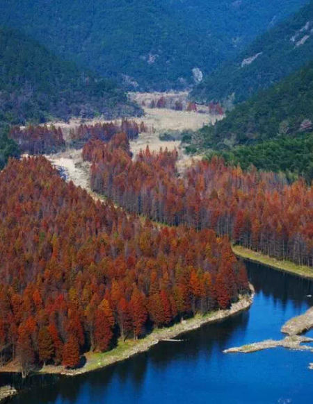 坠入秋日诗画仙境 浙江不为人知的自驾地