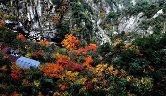 坠入秋日诗画仙境 浙江不为人知的自驾地(2)