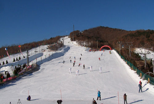 玩遍大连滑雪场 畅享冰雪撒欢季