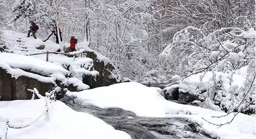 林海雪原情景短剧,林海雪原情景短剧在线观看