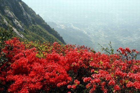 畅游江西香格里拉 品味原生态修水黄龙山