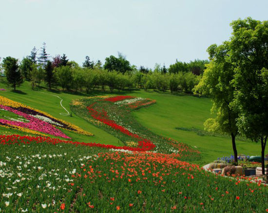 沈阳的春天 做一个追风筝的人(2)