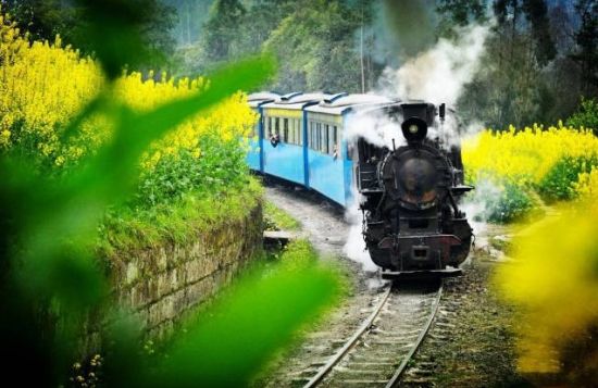 四月最美景观:嘉阳小火车