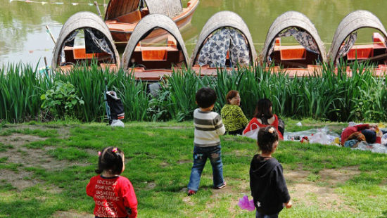 南京紫色花海 赏二月兰何须去南理工(4)