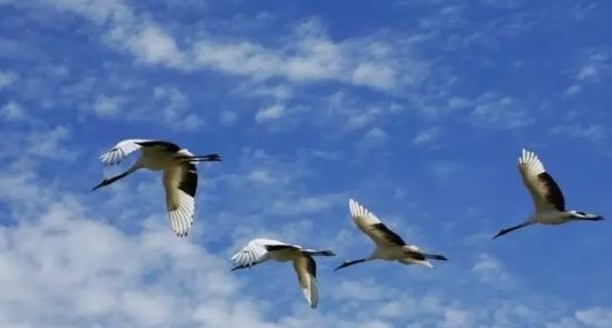 黑龙江8大治愈系旅行地 心痛疗伤好去处