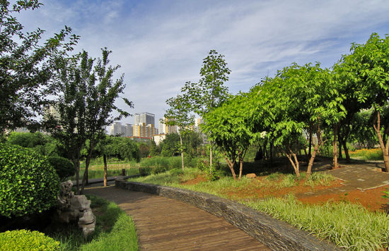 春暖花开约跑时 石家庄六大慢跑路线推荐