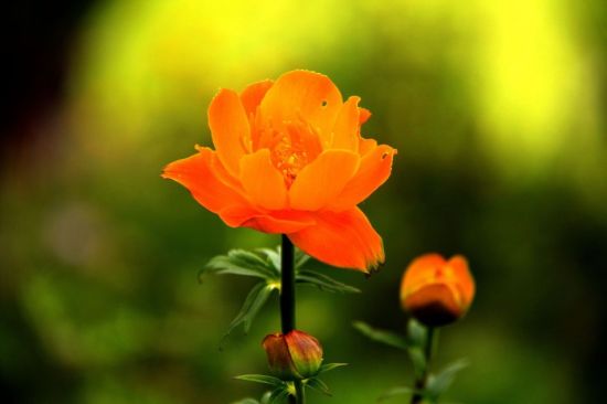 张家口小五台山自然保护区 春暖花开