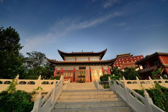 河北观音像三宗最 鹿泉千万级檀香木观音