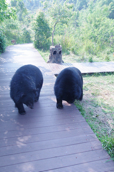 Ӱxĺֵ