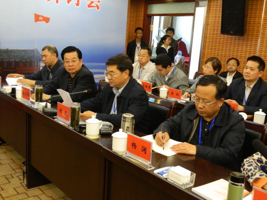 云南省委党史研究室主任杨毅在研讨会上发言