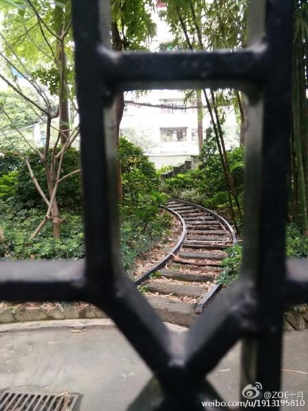 铁轨模型 作者:@ZOE十月 图片来源:微博